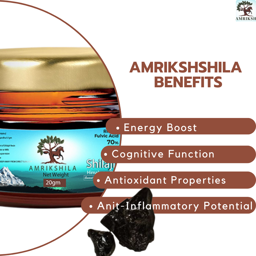 AMRIKSHILA SHILAJIT RESIN (WITH ASHWAGHANDA)