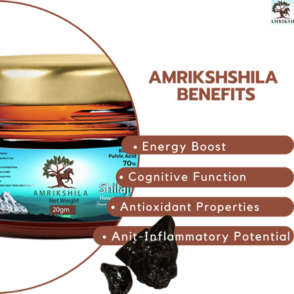 AMRIKSHILA SHILAJIT RESIN (WITH ASHWAGHANDA)